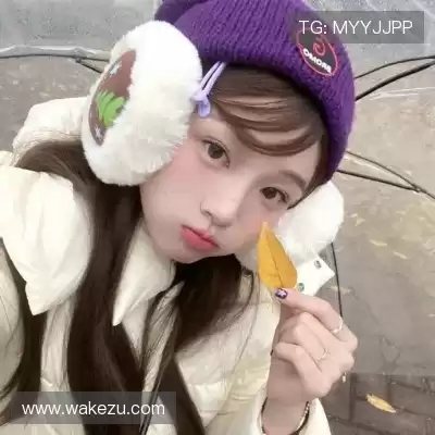 梅鹃仪